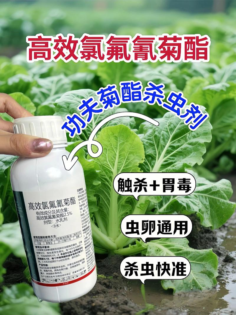 仙桃代生中心:农药对供卵代生妈妈的危害